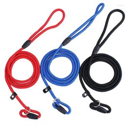 Colliers pour chiens 130cm, corde en Nylon pour animaux de compagnie, entraînement, laisse P, sangle de plomb antidérapante, collier de Traction réglable pour petit chiot S M L