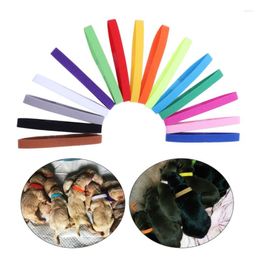 Colliers pour chiens 15 X chiot ID mise bas né chatons bande réglable collier d'identification couleurs assorties pour animal de compagnie