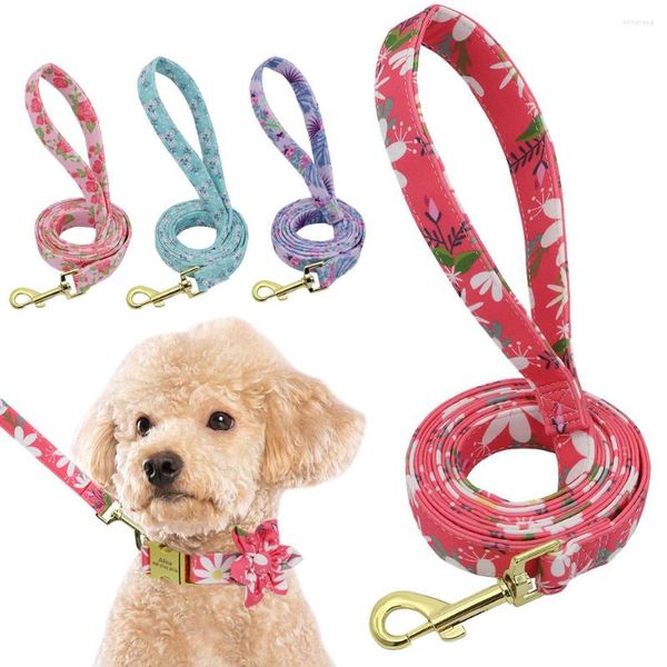 Collares para perros 150 cm Nylon Rgash Flower Pet Cabeza de cabeceo Pet Rope Correa de correa para perros acolchados para un pequeño entrenamiento de caminata grande