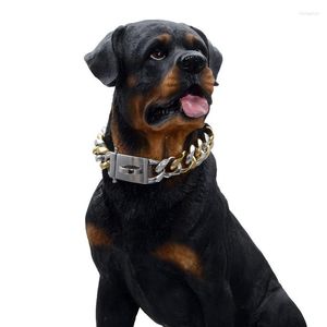 Hondenkragen 19 mm roestvrijstalen huisdierenketen titanium zeszijdige slijpkraag grote gouden wandelring