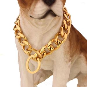 Colliers pour chiens 19 MM largeur collier de chaîne en acier inoxydable solide P collier pour animaux de compagnie pour grands chiens Huntaway Husky Samoyède