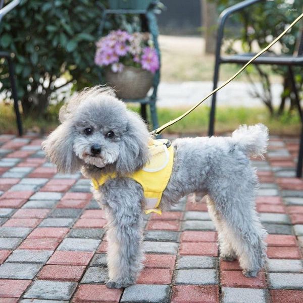 Collares para perros 1 pieza Conjunto de correa de arnés de abeja de dibujos animados Correa de pecho antipérdida Ropa cómoda para cachorros con accesorios para bolsas de refrigerios