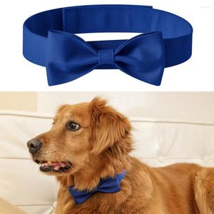 Colliers de chien 1PC couleur nœuds papillon nœud papillon pour chiens chat toilettage accessoires petit animal enfants réglable nœud papillon produit pour animaux de compagnie en gros