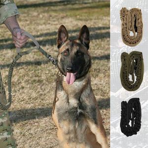 Colliers de chien 1pc élastique Tactique Tactique Military Pet Puppy Playh Traction Corde Courtelle accessoires Mascotas SUMINISTRO PARA PERROS