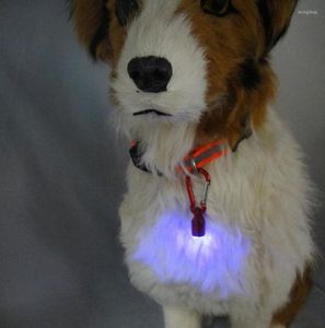 Colliers pour chiens, 1 pièce, Mini collier LED pour animaux de compagnie, pendentif, veilleuse clignotante, fournitures de sécurité, accessoires, porte-clés Portable, jouet Flash