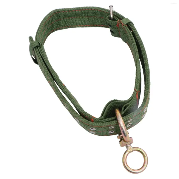 Colliers de chien 1pc Collier de traction du collier de moutons de bétail épaissi (vert)