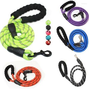 Hondenkragen 1 van de riem 5ft Sterk klimmende multi-kleuren nylon touw reflecterende draadavond veilig voor wandelmedium groot