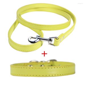 Colliers pour chiens 1 ensemble laisse en cuir Pu de haute qualité 1 ensemble de 2 produits pour moyen et enchère en plein air marche jouer accessoires pour animaux de compagnie