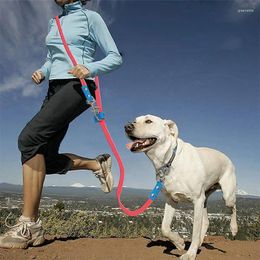 Collares para perros 2,1 m Correa impermeable de PVC cachorro correas de doble cabeza dos grandes ajustables largas cortas para mascotas cuerda de entrenamiento para caminar