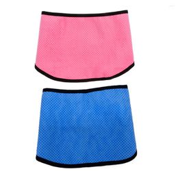 Halsbanden 2 Stuks Huisdier Cool Sjaal Ijs Handdoek Koeling Kraag Sport Bandana Slabbetjes Voor Sweats Zomer Pva Pecheras para Medianos