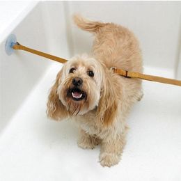 Colliers pour chiens 2 pièces sangles de bain pour animaux de compagnie laisse bain beauté corde fixe baignoire ventouse