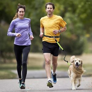 Colliers pour chiens, 2 bandes réfléchissantes, laisse avec ceinture réglable, jogging mains libres élégant