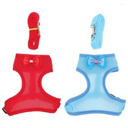 Colliers pour chiens, 2 ensembles, ceinture réglable, gilet de poulet, cordes de Traction pour poule, laisses pour animaux de compagnie, fournitures pour coq