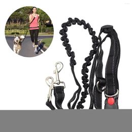 Hondenkragen 2022 Pet Lopen Running Jogging Liemens verstelbare handvrije riem voor taillegordel borstband tractie touw