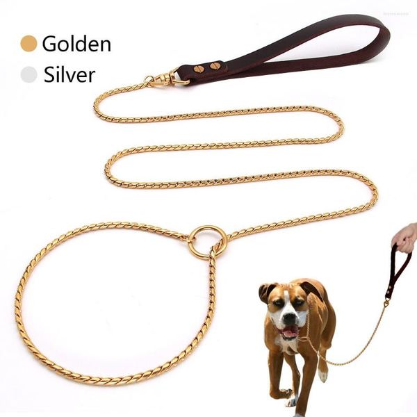 Colliers de chien 2IN1 chaîne collier laisse 304 acier inoxydable métal starter argent or Pet plomb corde avec poignée en cuir pour le spectacle