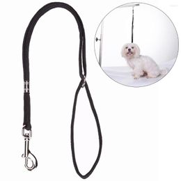 Hondenkragen 2 stks Pet Noose Loop Lock Clip Rope voor verzorgingstafel ARM BAD NYLON CAT LEAGH ACCESSOIRES DROP VOORADING