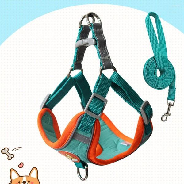 Colliers pour chiens 2 pièces/ensemble, laisse de Traction pour animaux de compagnie, ensemble de laisses respirantes pratiques, Kit de sangle de poitrine pour chiens pour la randonnée