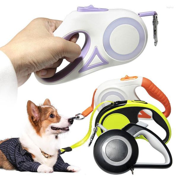 Colliers pour chiens laisse de 3/5M avec laisse rétractable automatique pour animaux de compagnie ceinture de corde de Traction Durable grande laisse de course à pied