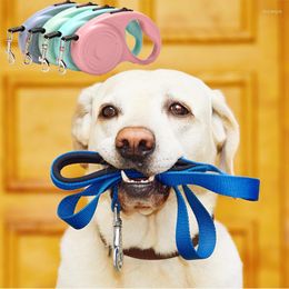 Colliers en Nylon pour chiens, 3/5m, pour petits, moyens et grands chiens, chats, laisses, accessoires en plomb, laisse à Roulette rétractable pour animaux de compagnie