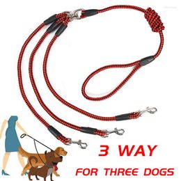 Collares para perros Acopladores de 3 vías Correa en 1 Cinturón para mascotas trenzado largo 140 cm Cuerda para caminar al aire libre para tres perros pequeños Suministros para mascotas