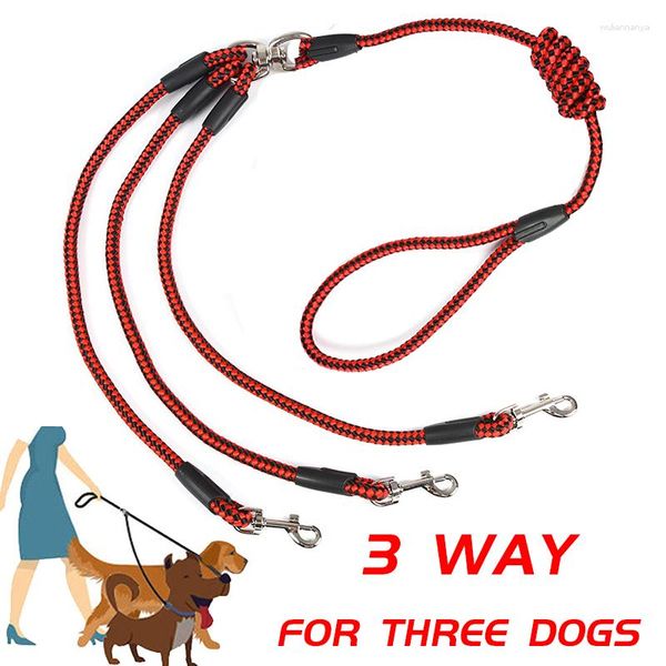 Colliers de chien 3 voies coupleurs laisse en 1 longue ceinture tressée pour animaux de compagnie 140 cm corde de plomb de marche en plein air pour trois petits chiens fournitures pour animaux de compagnie