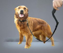 Collares para perros 3m50m Correa súper larga con asa Negro Rosa Azul Plomo para mascotas 15m 10m 6m Caminar Correr Entrenamiento Rope4313843