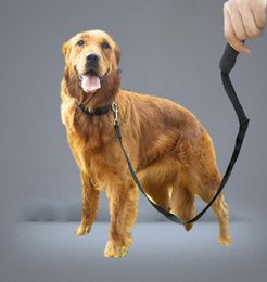 Colliers de chien 3m50m Super Long Leash avec poignée Black Pink Blue Pet Pet 15m 10m 6M RODE COURANCE COURRAGE CORDE7337545