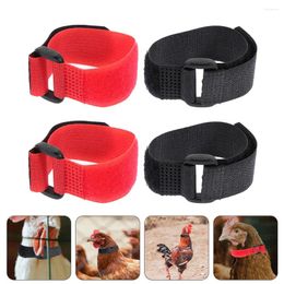 Collares para perros 4 Uds. Collar anticuervo para gallo, banda para el cuello antigancho para pollo, cinturón para el cuello con ruido para gallos que gritan y molestan a los vecinos