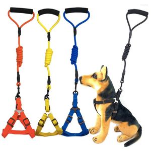 Colliers pour chiens 5 couleurs laisse et collier en nylon pour petit moyen grand chiot grand collier corde accessoires pour animaux de compagnie