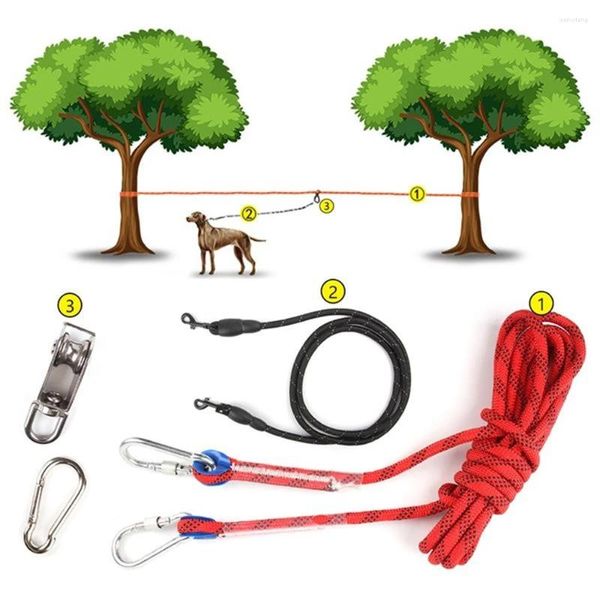 Colliers de chien 5M / 10M longue corde laisse d'entraînement en plein air marche camping ligne de suivi des animaux de compagnie petit moyen grand chiot attache laisse de traction