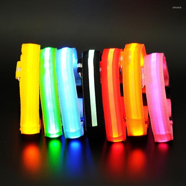 Colliers pour chiens, 7 couleurs, lumières LED, sécurité nocturne, Anti-perte, clignotant, en Nylon, pour animaux de compagnie, brille dans la nuit, collier pour petits chiens