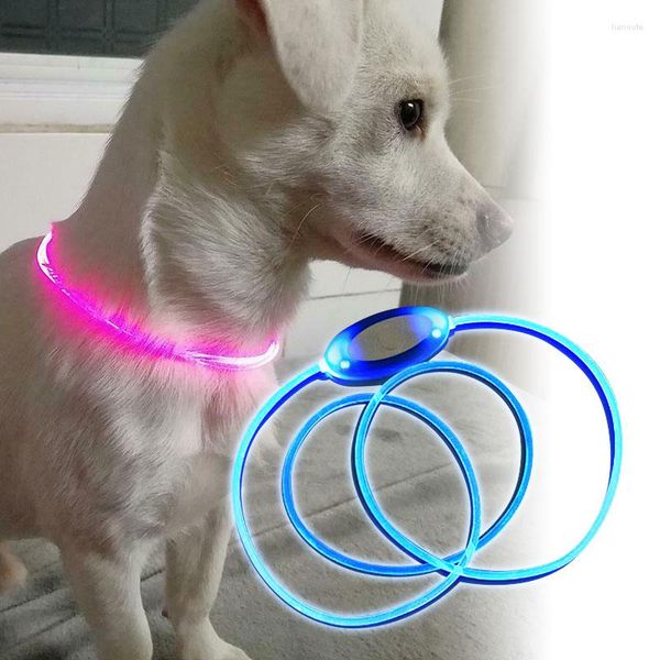 Collares de perros 80 cm LED Light Light Anti-Lost/Evite el accidente automovilístico PU PUP CUPPIES Luminoso Pet Flash Noche