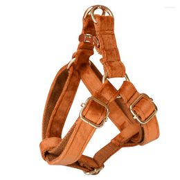 Hondenkragen accessoires voor kleine honden Solid Pet Bullterrier Puppy Harness Leash Set Hunde Leine Arnes de Perro Collar Grande