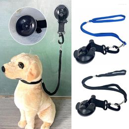 Colliers réglables pour chiens et chats, fixateur de bain, harnais pour animaux de compagnie, cisaille, sèche-cheveux, corde de Traction, Table de beauté, boucles de toilettage