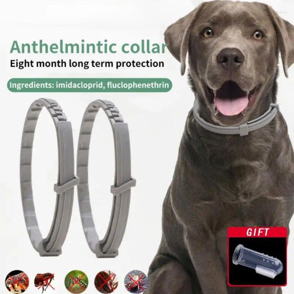 Collares para perros Collar ajustable para gatos Prevención de pulgas y garrapatas Control de plagas para mascotas Proteger accesorios para matar goma