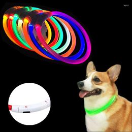 Colliers pour chiens collier réglable LED nuit clignotant lumineux sécurité collier personnalisé USB charge fournitures pour animaux de compagnie