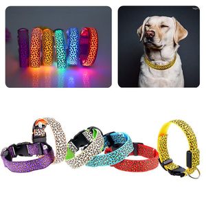 Colliers pour chiens chiens réglables LED fournitures pour animaux de compagnie Nylon chiot léopard collier ceinture en plein air nuit sécurité lueur lumineuse animaux chat