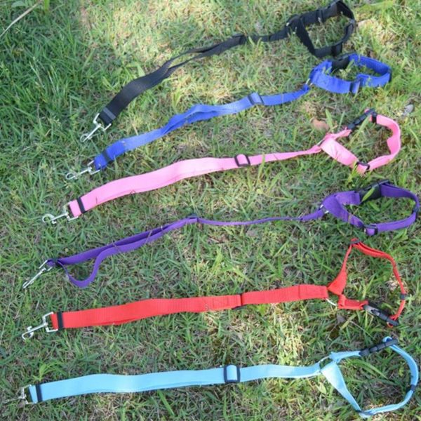 Colliers pour chiens harnais réglable en Nylon pour chiens harnais de ceinture de sécurité de voyage pour animaux de compagnie plomb pour harnais de retenue de siège arrière de sécurité de voiture