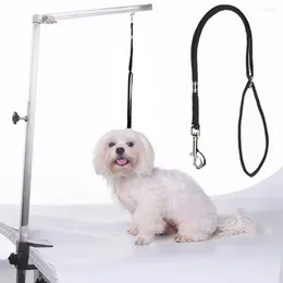 Colliers pour chiens réglables avec boucle pour animaux de compagnie, corde de toilettage fixe pratique, laisse de sécurité pour chiot de haute qualité, accessoires durables pour chiens