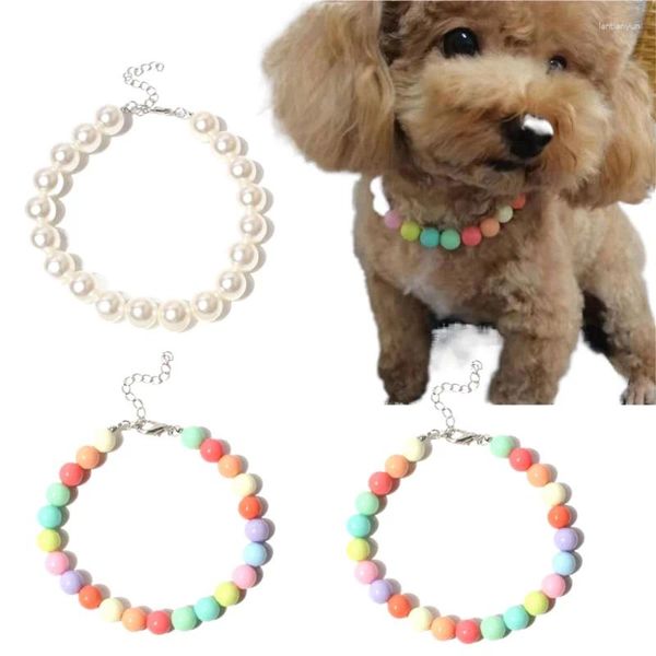 Colliers de chien Collier de perle de compagnie réglable Accessoires pour chats Animaux Fashion Colorful Cat Collar chaton