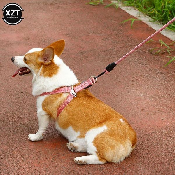 Collares para perros Correa de cuerda ajustable Accesorios para mascotas Productos para mascotas Arnés Chihuahua Coisas tácticas Para Cachorro Perros Cinturón para el cuello