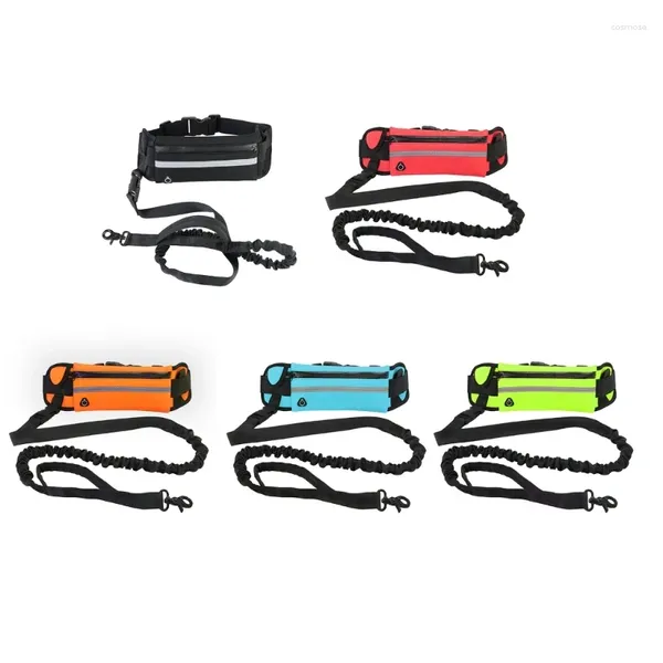 Collares para perros cinturón ajustable suministros para correr con tira reflectante impermeable para bolsa para deportes al aire libre Dropship