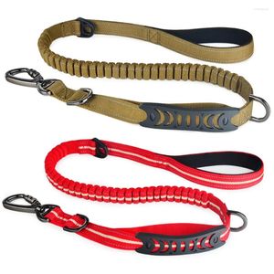 Colliers de chien AiruiDog Nylon extensible longue laisse de laisse solide entraînement robuste double poignée