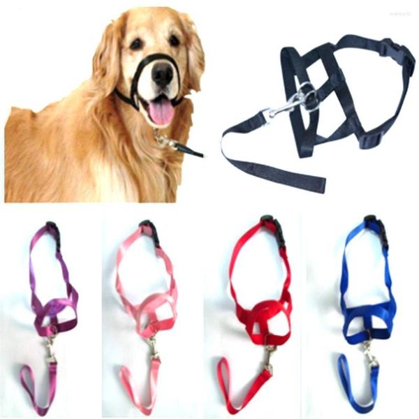 Colliers pour chiens Alter Halter Training Head Collar Gentle Leader Harness Nylon Colorful