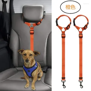 Colliers pour chiens Amazon Pet, corde de sécurité pour voiture, anneau de ceinture de sécurité, maintien à la main