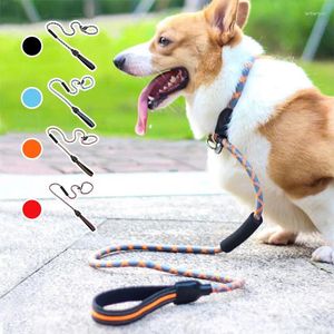 Colliers de chien Ligne anti-Pull Lash en forme de Pitre en nylon en nylon Collier intégré et contrôle facile pour les accessoires de formation des chiens