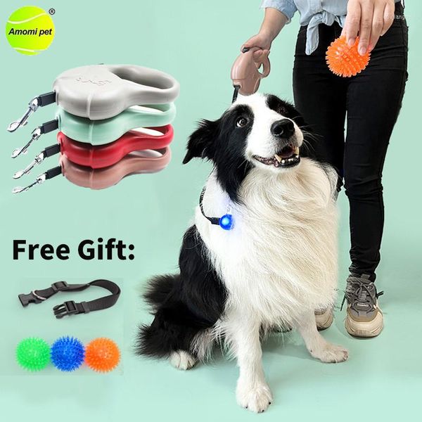 Colliers pour chiens Laisse automatique 5M Corde rétractable en nylon durable Chiot Marche Cadeau gratuit Collier et balle Jouets