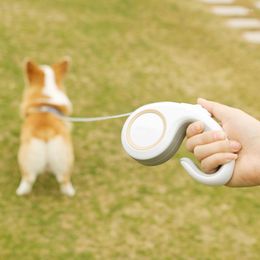 Colliers de chien laisses rétractables automatiques pour longue Extension de laisse 3M Roulette de plomb de marche en plein air pour animaux de compagnie