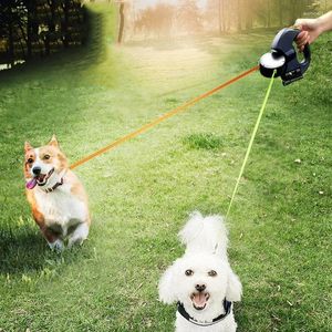 Hondenkragen Automatisch intrekbaar wandeltouw voor kleine tractie Teddy Pet Supplies 1 tot 2 honden