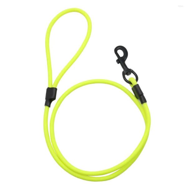 Collares para perros, correas básicas, correas redondas de PVC para caminar para mascotas, correas de plomo para perros, productos de entrenamiento de seguridad para exteriores